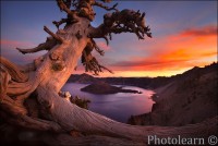 /album/fotogalerie/a11719790-lg-jpg/