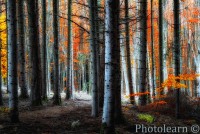 /album/fotogalerie/a11987371-lg-jpg/