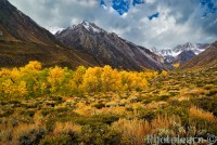 /album/fotogalerie/a11988810-lg-jpg/