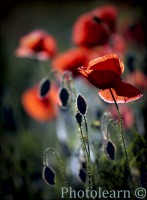 /album/fotogalerie/a9389078-lg-jpg/