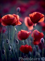 /album/fotogalerie/a9417854-lg-jpg/