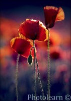 /album/fotogalerie/a9423166-lg-jpg/