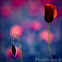 /album/fotogalerie/a9465231-md-jpg/