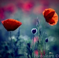 /album/fotogalerie/a9566461-md-jpg/