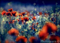 /album/fotogalerie/a9587708-md-jpg/