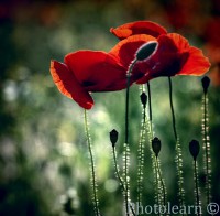 /album/fotogalerie/a9825577-md-jpg/