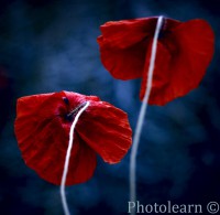 /album/fotogalerie/a9949921-md-jpg/